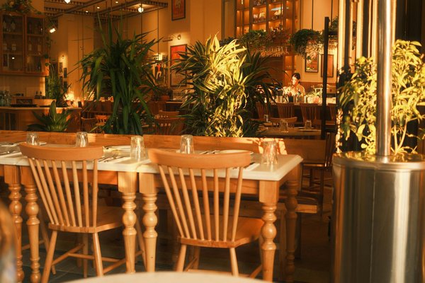 Céréales sans sucre : un petit déjeuner nutritif et savoureux