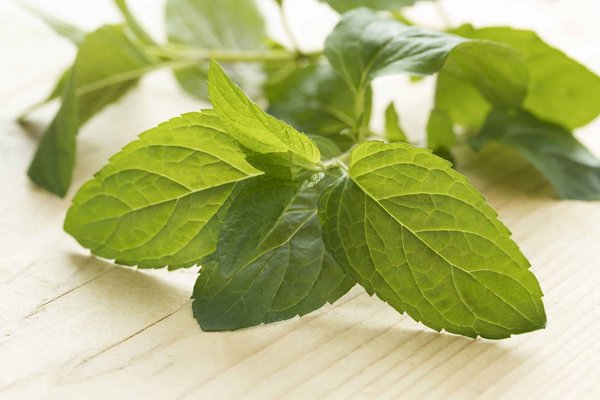 idées de desserts à base de chocolat blanc